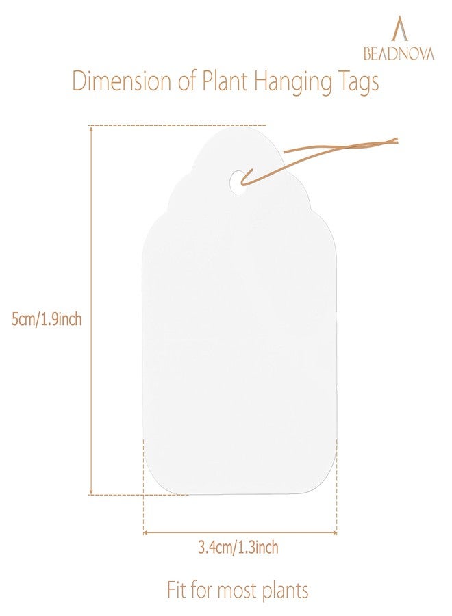 BEADNOVA Plant Hanging Tags 100pcs Tags with String Reusable Plant Labels Markers Plastic Garden Signs Garden Markers for Outdoor (2 Inch, White) - Image 2